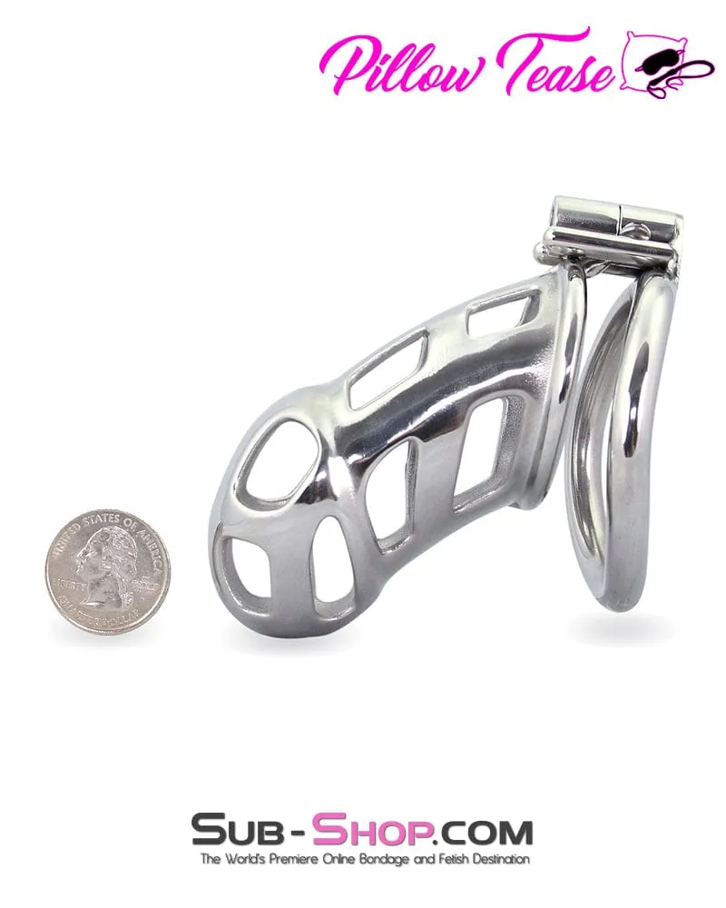 1692AR      Edging Torture Chastity Steel Male Chastity Cage