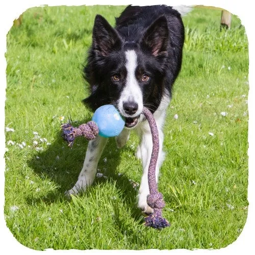 BeCo - Ball on Rope - Green