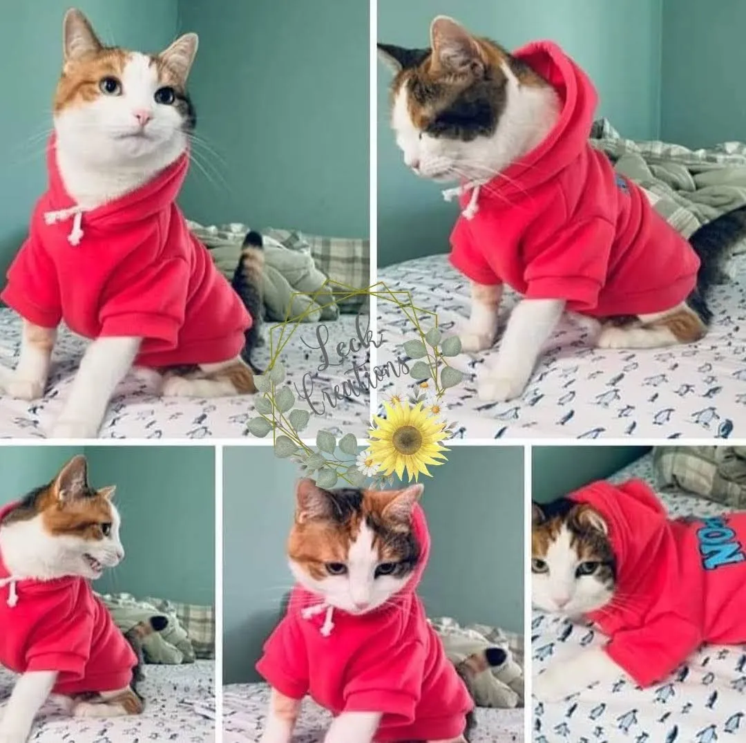 Custom Pet Hoodie