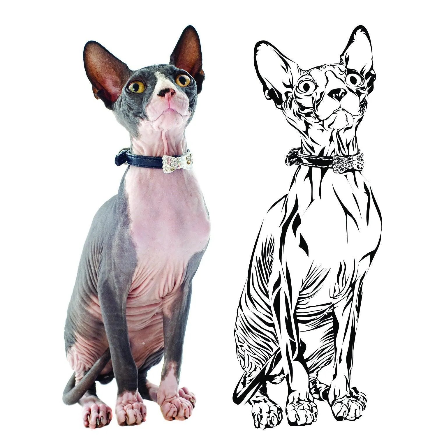 Custom Wall Decal Of Your Pet - Personalized Cat Lover Portrait Vinyl Sticker Gift Idea