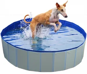 DOG POOL