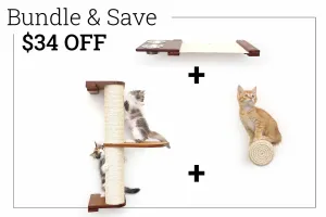 Eat, Play, Sleep Bundle