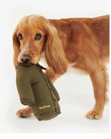 Jacket Dog Toy