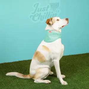Just Chillin Dog Cooling Bandana