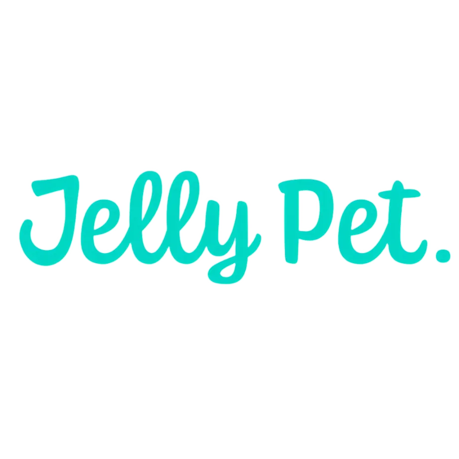Large Double Sided Slicker Brush by Jelly Pet