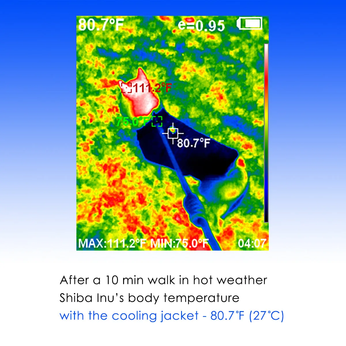 [NEW] LCB Pineapple Cooling Jacket
