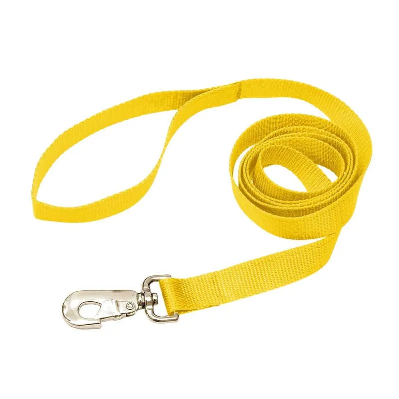 Nylon Leash