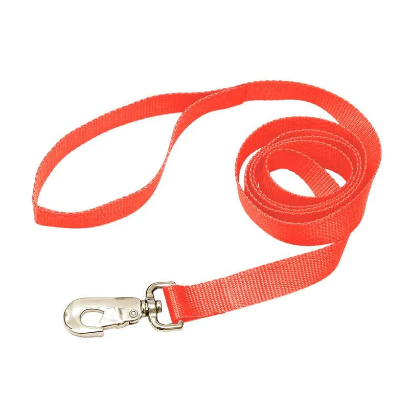 Nylon Leash