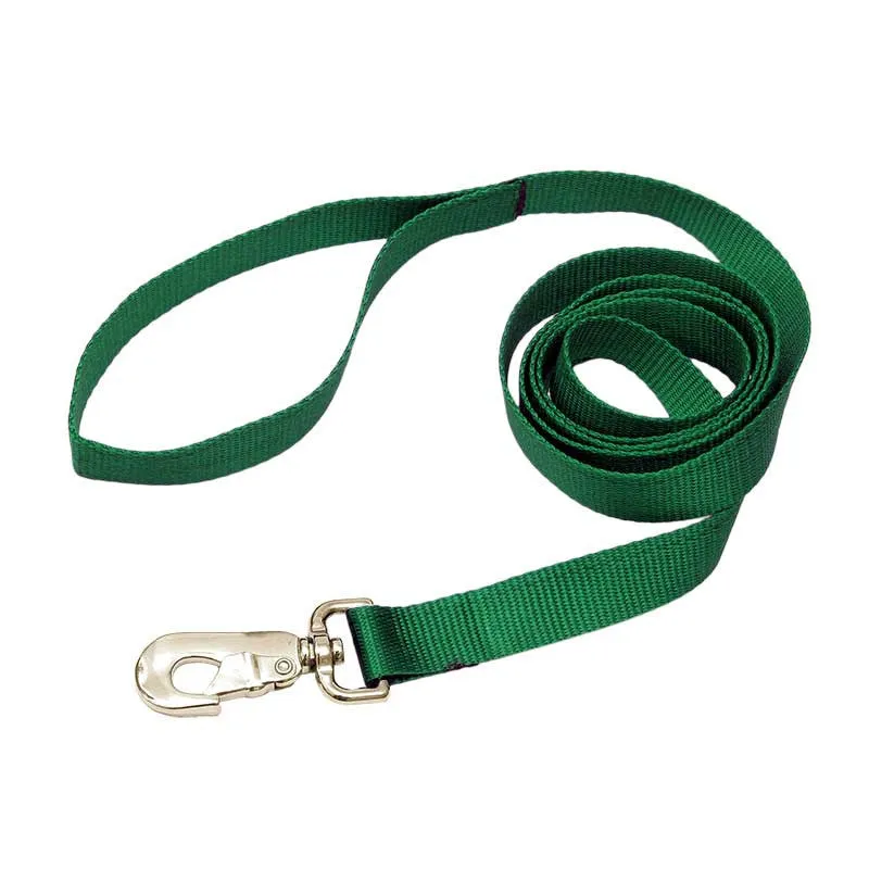 Nylon Leash
