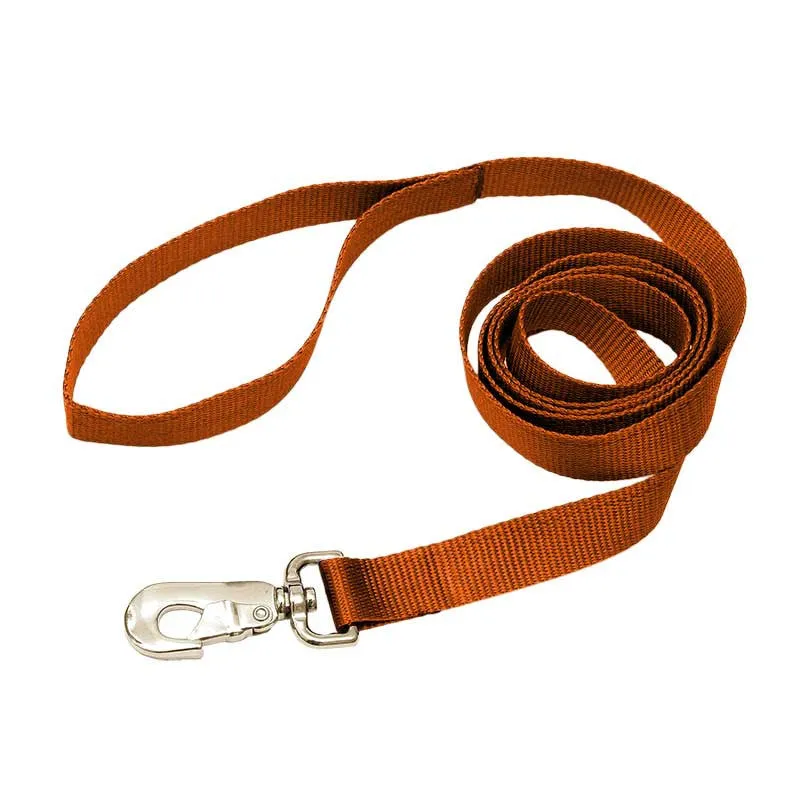 Nylon Leash