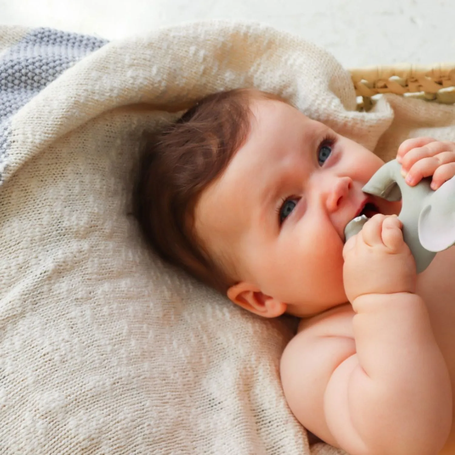 Oli & Carol Nelly The Elephant Bracelet Teether