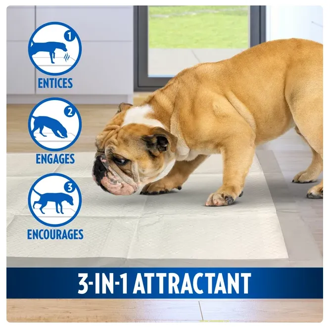 OUT! Heavy Duty XXL Dog Pads, Absorbent Pet Training and Puppy Pads, 26 x 30 in, - 30 Pads