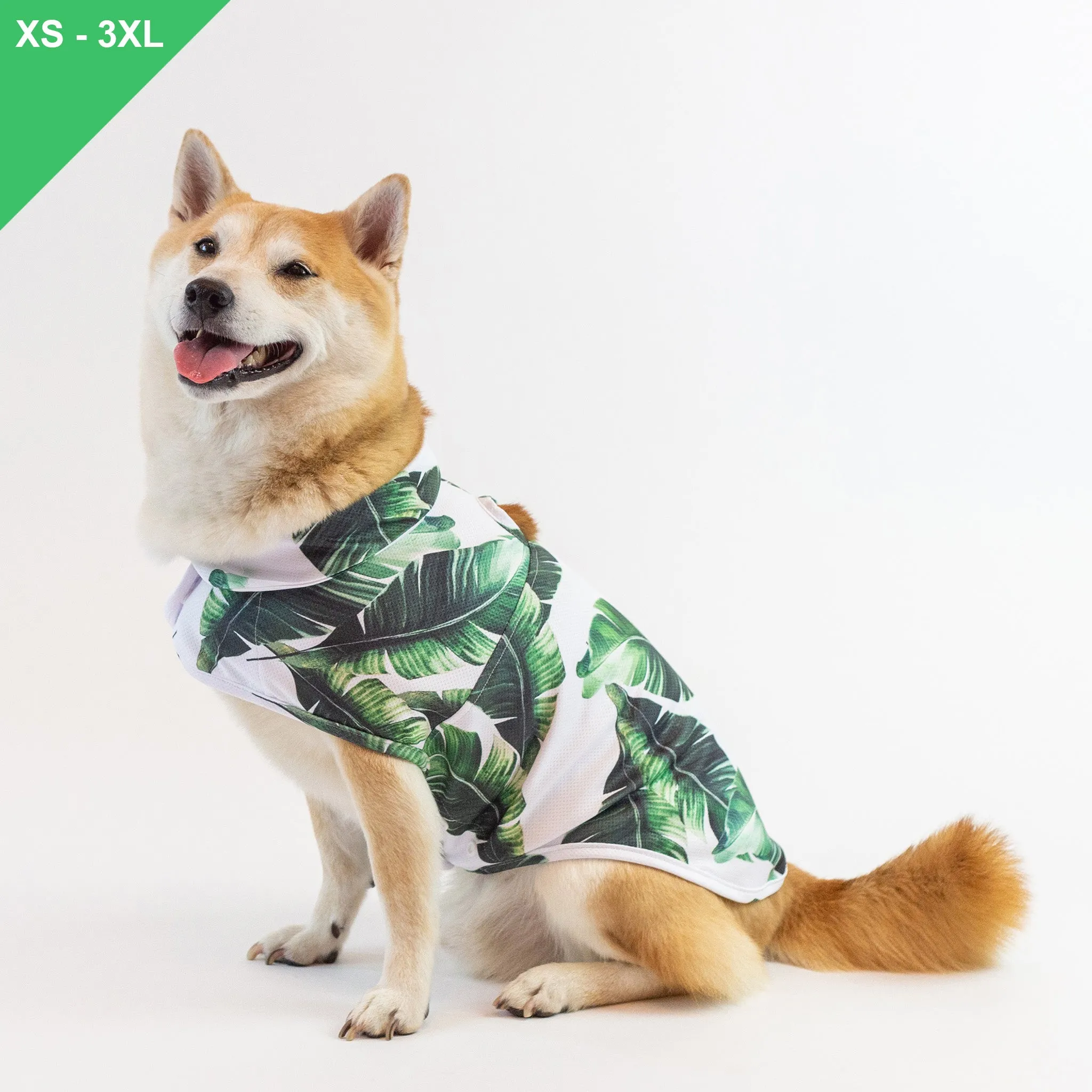 [RESTOCKED] LCB Green Leaf Cooling Jacket