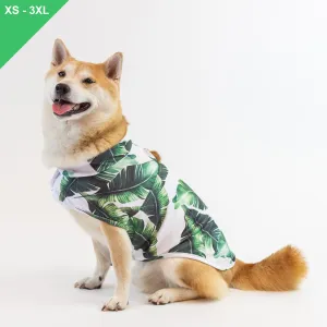 [RESTOCKED] LCB Green Leaf Cooling Jacket