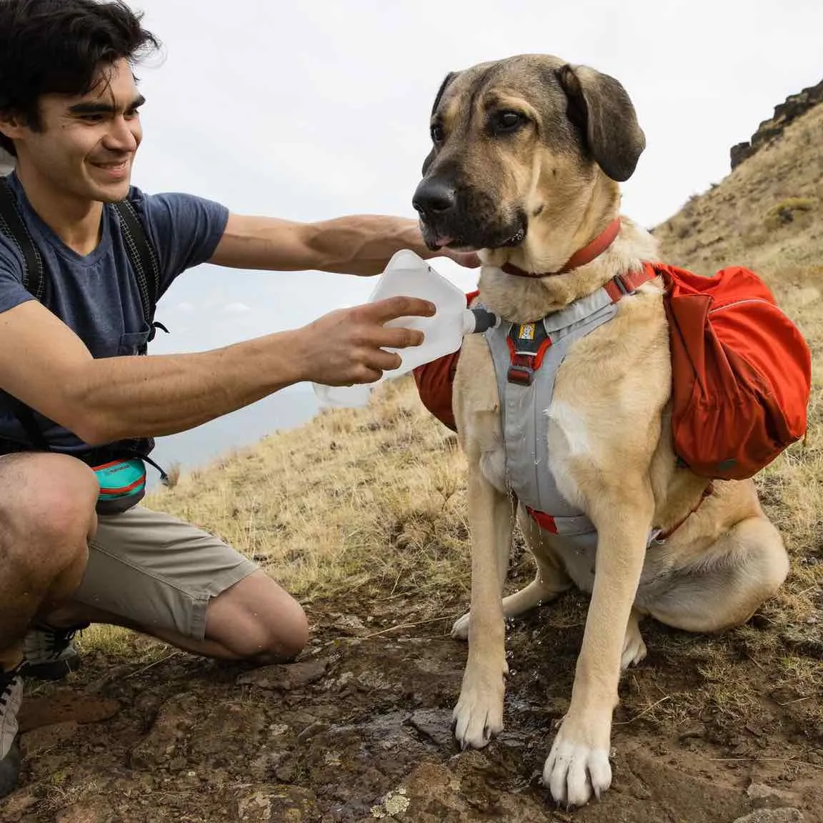 Ruffwear Swamp Cooler Core Chest Cooling & Lifting Dog Harness Support