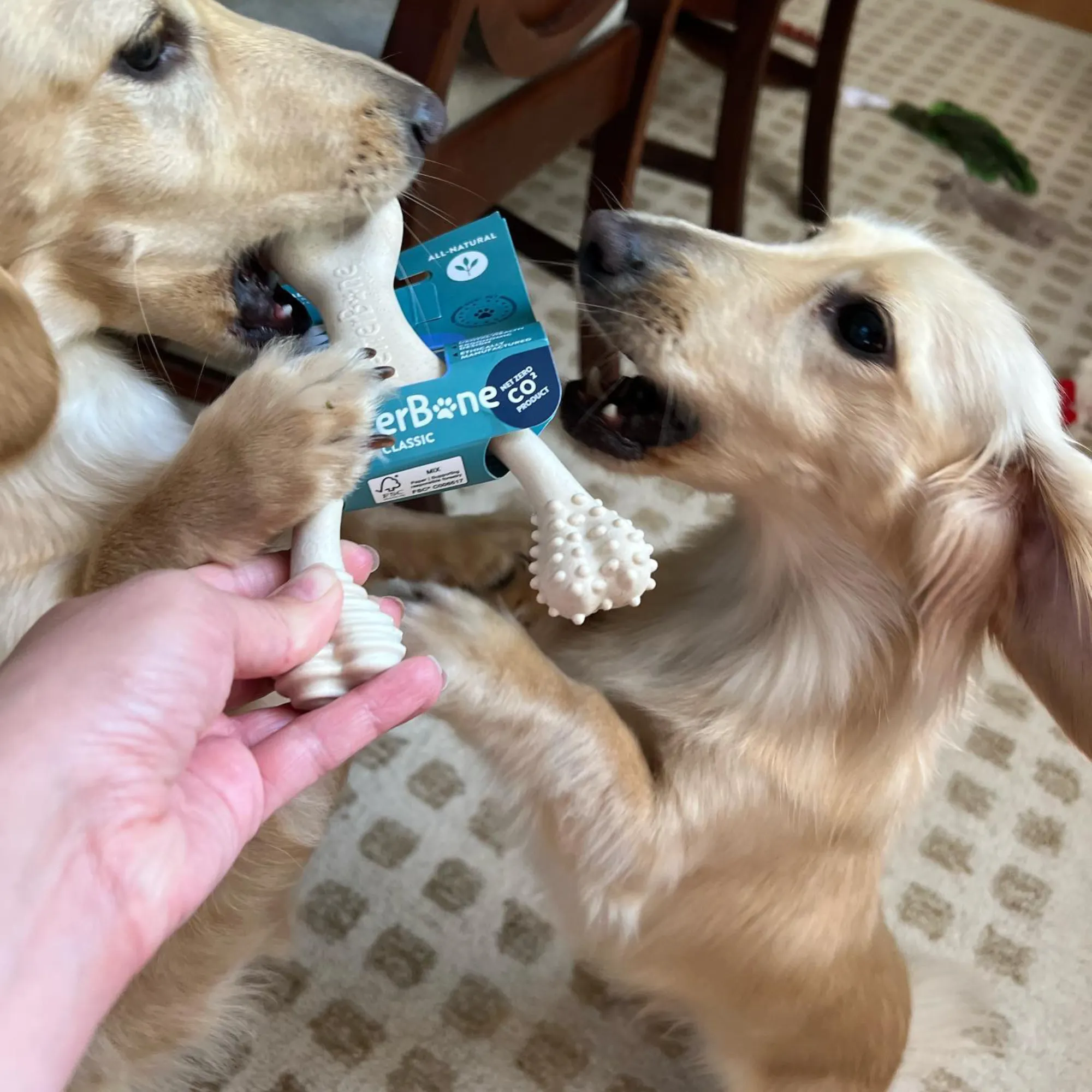 The Better Bone Natural Dog Bone BetterBone CLASSIC - All Natural, Non-Toxic, Safer on Teeth, Soft, Puppy, Dog Chew-NYLON FREE