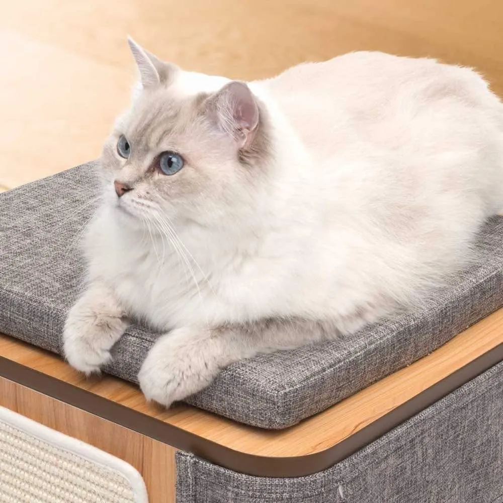 Vesper Cubo Cat Cube