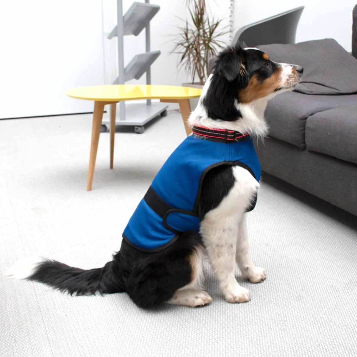 Vetopop Dog Cooling Vest