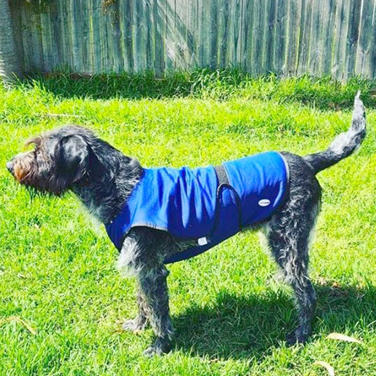 Vetopop Dog Cooling Vest
