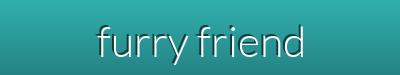 Exclusive Offers & Summer Essentials | Pet Beds, Collars, Toys & More - Furry Friends Shop